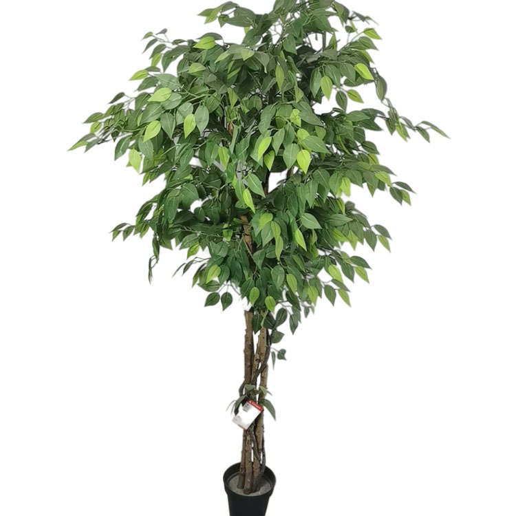 Australia Home Decoration Artificial Ficus Tree - Buy artificial ficus ...