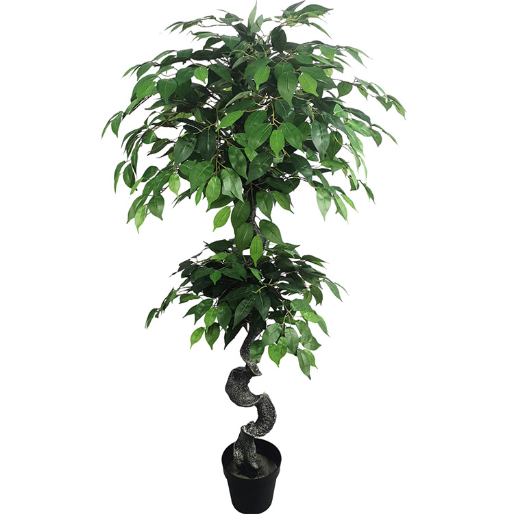 Australia Home Decoration Artificial Ficus Tree Buy artificial ficus